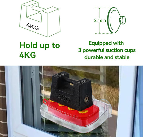 Window Hummingbird Feeder, Plastic Feeder with 3 Strong Suction Cups, Easy to Clean and Refill, Built-in Moat (10oz)