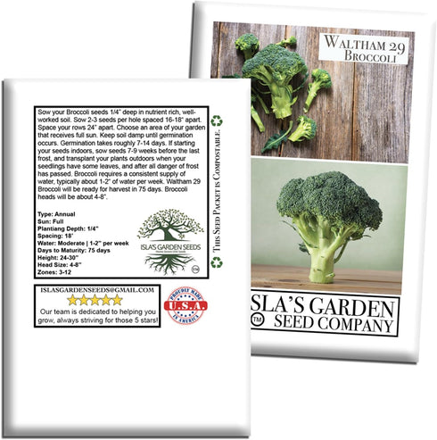 29 300+ Waltham Broccoli Seeds (Brassica oleracea) Heirloom Non-GMO Seeds by Islas Garden Seeds, Classic Cool-Season