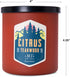 Manly Indulgence Citrus Teakwood Scented Candles for Men, 2 Wick, 15 oz Premium Soy Blend Wax, 60H Burn