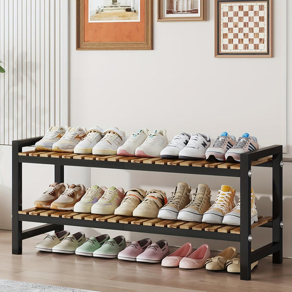 ZHUTIANXIA Shoe Rack Organizer for Small Spaces 2Tier Long Narrow Shoe Stand, Closet