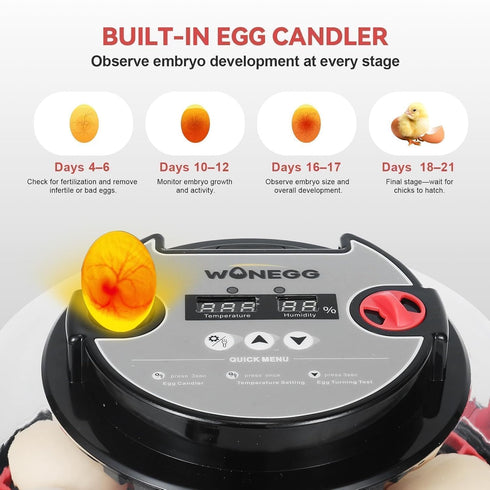GleeGearNex 12 Gen II - Egg Automatic Incubator, Two-Stage Humidity with Auto-Refill & Stable Temp Control, Auto Egg