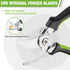WORKPRO Garden Bypass Pruning Shears, 8.5" Scissors with CRV Forged Blades for Cutting Bonsai, Branch, Herb