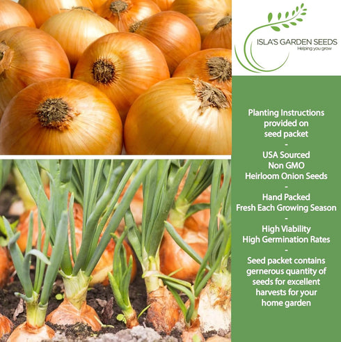 750+ Bulbs, Yellow Sweet Spanish Onion Seeds (Allium cepa) Non-GMO Heirloom Seeds by Islas Garden Seeds, Mild & Sweet