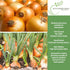 750+ Bulbs, Yellow Sweet Spanish Onion Seeds (Allium cepa) Non-GMO Heirloom Seeds by Islas Garden Seeds, Mild & Sweet