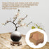 4.65" 1.38" Wooden Display Stand Base x Hexagonal Wood Carved Pedestal Oriental Style Home Decoration for Vase, Flower