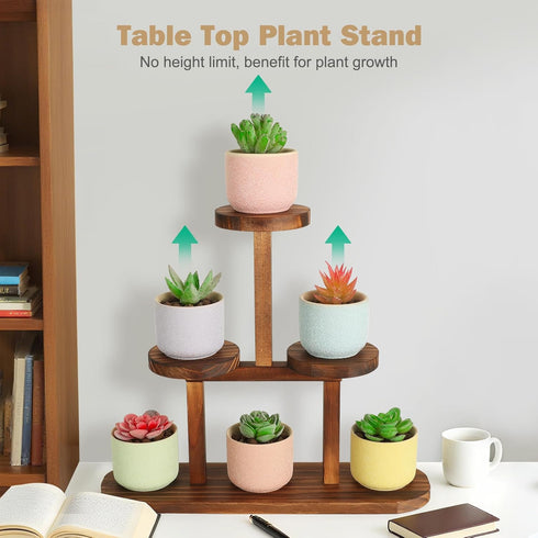 3 Desktop,Countertop,Window,Kitchen,Office Tier Wood Table Top Plant Stand,Small Windowsill Plant Shelf Desk Succulent