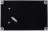 Cottage Garden First Communion God Beside You Matte Black Rope Trim Music Box