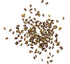 (1 Pack) Seed Needs Rosemary Seeds for Planting - Non-GMO Heirloom & Untreated Perennial Herbs to Plant a Medicinal