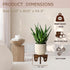Neracking 10 Inch 4-11 Inch Boho Wood Plant Stand - Small Plant Stands Indoor for Pots, Single Plant Stand Indoor