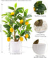 18 AceList Artificial Lemon Tree with White Pot, Faux Citrus Plant for Kitchen, Bathroom, Office or Shelf Decor