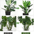 5 Pack 2025 (5 Pack) Stackable Monstera Plant Support, New Plant Stakes for Indoor and Outdoor Plants Use, Garden