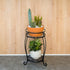 2 FaithLand Plant Stand, Heavy Duty Metal Planter Holder Indoor Outdoor, Tier Round Potted Supports Rack, Corner