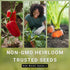Packet (1) Sow Right Seeds - Garden Cress Seeds for Planting - Non-GMO Heirloom with Instructions to Plant and Grow a