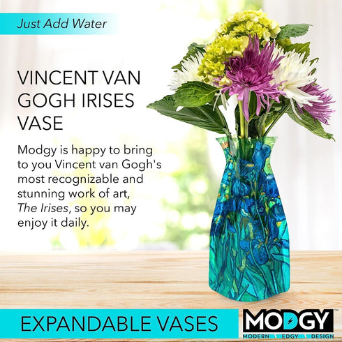 MODGY Expandable Flower Vase, Plastic Decorative Modern Vases for Centerpieces, Dining Table Decor, Van Gogh Irises