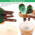 Cactus Measuring Spoons Set in Pot, Unique Measuring Cups and Spoons for Coffee, Salt, Sugar, Cute Baking Gifts