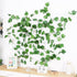 Elegant 38 Ft Autumn Artificial Grape Leaf Garland, 5 Strands for Fall Decor & Weddings
