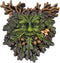 Nemesis Now Autumn's Reflection Tree Spirit Plaque, Hand-Painted Resin, Forest Guardian Wall Decor, 15.5cm