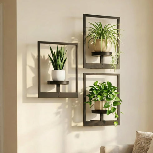 bbteroiu Picture Frame Wall Planters Set of 3, Modern Metal Hanging Shelves for