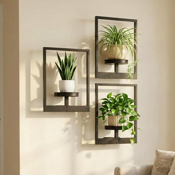 bbteroiu Picture Frame Wall Planters Set of 3, Modern Metal Hanging Shelves for