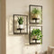 bbteroiu Picture Frame Wall Planters Set of 3, Modern Metal Hanging Shelves for