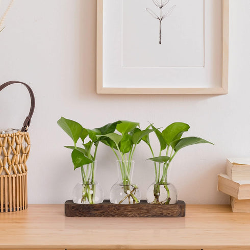 Decor(3 YIBOT Propagation Stations,Plant Propagation Vase,Desk Plant Terrarium with Retro Wooden Stand,Plant Lover