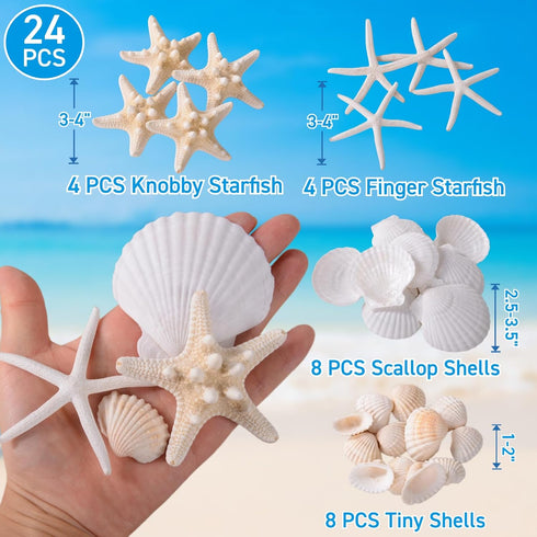 Egcina 24PCS Sea Shells for Crafts Decoration, Real White Natural Scallop Shells and Starfish for DIY Projects