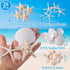 Egcina 24PCS Sea Shells for Crafts Decoration, Real White Natural Scallop Shells and Starfish for DIY Projects