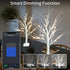 2FT 18 Dimmable, 2 Pack Smart Birch Tree with LED Lights, Bluetooth App Controlled, Modes, Timer, Music Sync, Warm