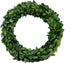 COCOMIA Preserved Garden Boxwood Round Wreath, 10"