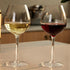 MICHLEY Unbreakable Stemmed Wine Glass, 100% Tritan Plastic, 15 oz, Set of 2