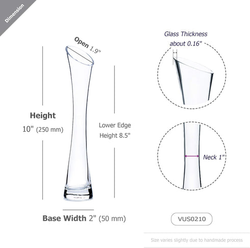 WGV Maria Bud Vase, 2" Width, 10" Height, Clear Slant Cut Opening Glass Floral Container for Decor