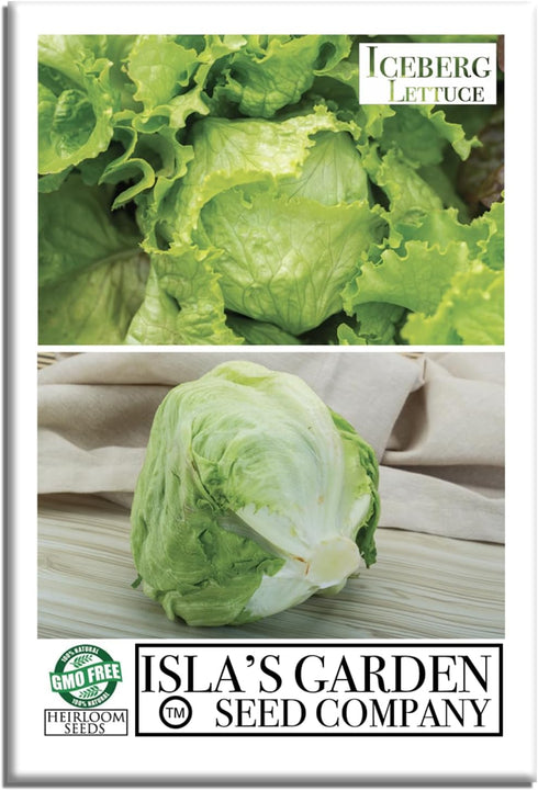 Iceberg Lettuce Seeds (Lactuca Sativa VAR) 2500+ Heirloom Non-GMO Seeds by Islas