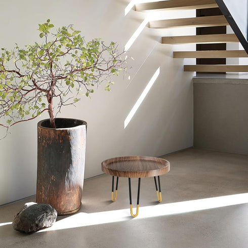 Plant Stand Indoor Outdoor, Mid Century Style Walnut Wood Color Plant Stand,Waterproof Design Modern Plant Table,Easily
