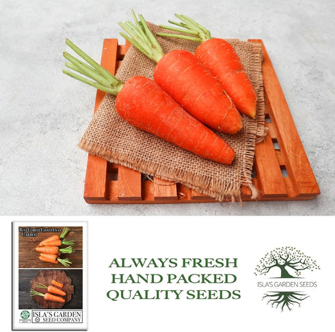 1000+ Red Cored Chantenay Carrot Seeds (Daucus carota) Heirloom Non-GMO Seeds by Islas Garden Seeds, Also Known as
