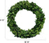 COCOMIA Preserved Garden Boxwood Round Wreath, 10"