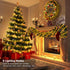 16.5ft (2 Pack), 50 Battery Operated String Lights LED Fairy String Lights Battery Powered with Remote & Timer