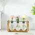 Bulb Marbrasse Plant Propagation Stations with Wooden Stand, Desktop Plant Terrarium Holder Vase, Glass Vase Container