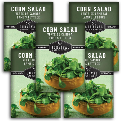 Corn Salad Seeds for Planting - Mache, Lamb's Lettuce - Cold Hardy