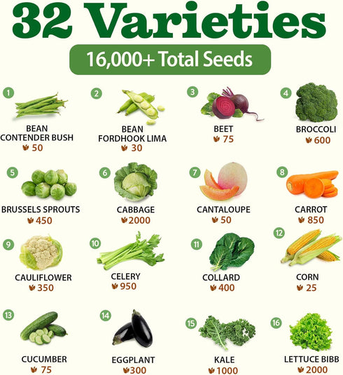 32 16,000+ 32 Heirloom Vegetable and Fruit Seeds for Planting - Seeds | Non-GMO Survival Seed Vault | High Germination