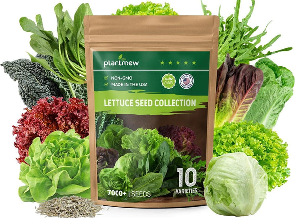 Heirloom Lettuce Seeds - 10 Varieties, Non-GMO Seeds for Planting - Includes
