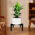 10"-16" 1 Pack) Heavy Duty Adjustable Metal Plant Stand for Plant Pot Indoor & Outdoor (Black