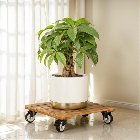 2pack 264 Lbs 12 Inch 360 Wood Plant Caddy With Wheels Heavy Duty, Capacity, Upgraded Acacia Hardwood Plant Dolly