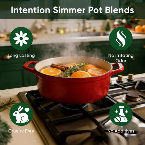 Simmer Simmer Pack(6 Pot Potpourri, Mixed Flavors Pot Mix with Natural Ingredients, A Mixture of Herbs, Salt & Dried