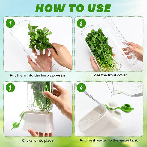 2 2-3 Baderke Pieces Herb Saver for Refrigerator Herb Keeper Herb Storage Containers Herb Saver Pod for Cilantro