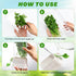 2 2-3 Baderke Pieces Herb Saver for Refrigerator Herb Keeper Herb Storage Containers Herb Saver Pod for Cilantro