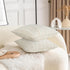 18X18 Set 2 Decorative Farmhouse Linen Throw Pillow Covers, Boho Textured Pillow Case of ,Beige with White & Brown