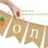Rainlemon 1st Jute Burlap Pumpkin One High Chair Banner Fall Thanksgiving Boy Girl Birthday Party Highchair Garland