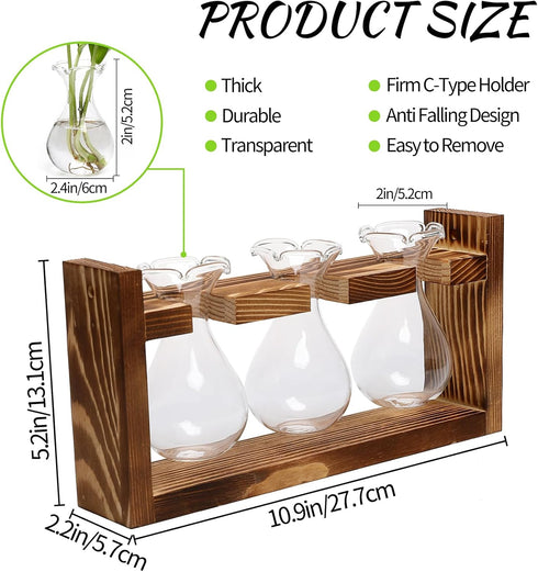 3 Bulb Plant Propagation Station Plant Terrarium Unique Birthday Gifts for Women Home Office Decor Planter with Wooden