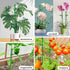 17inch &11inch 16Pcs 20 Plant Stakes SupKing Adjustable Length Plant Support Stake Orchid Stick with Clips for Indoor