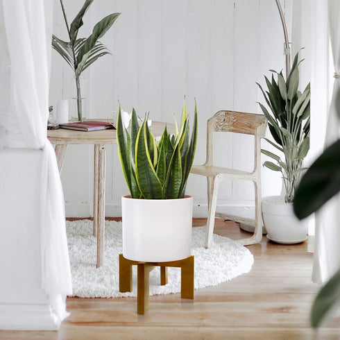 5-15 Inch Wood Plant Stand, Mid Century Modern Planter Stand Rattan Flower Pot Stand, Low Short Plant Stands Indoor